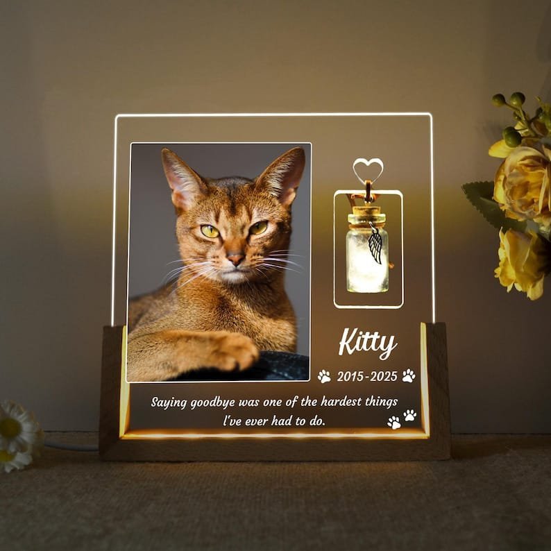 Custom Pet Photo Night Light - Image 3