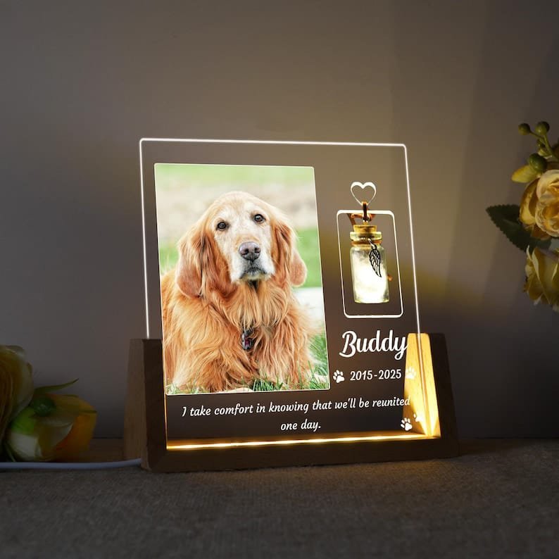 Custom Pet Photo Night Light - Image 2