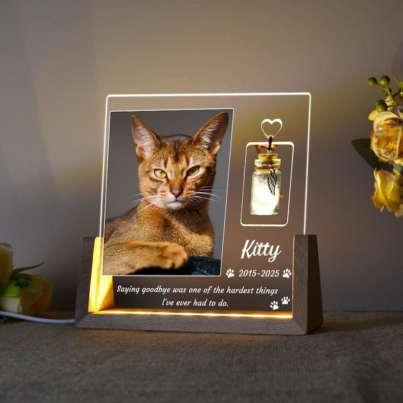 Custom Pet Photo Night Light - Image 4