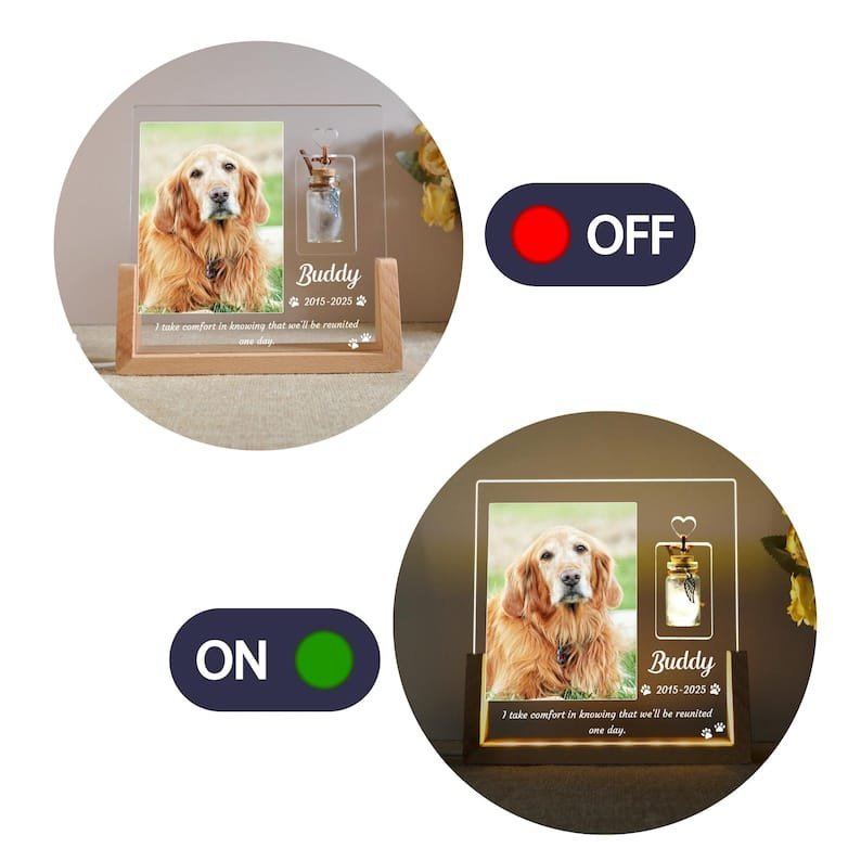 Custom Pet Photo Night Light - Image 6